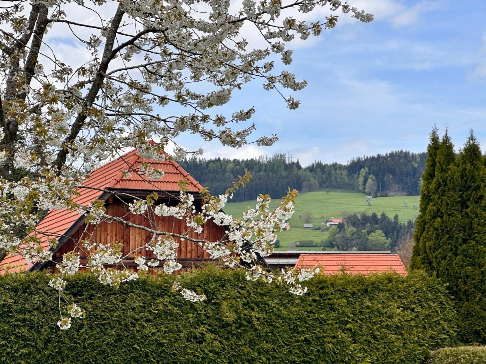 Romantic Chalet - Alpine Getaway Salzkammergut Viechtwang 외부 사진