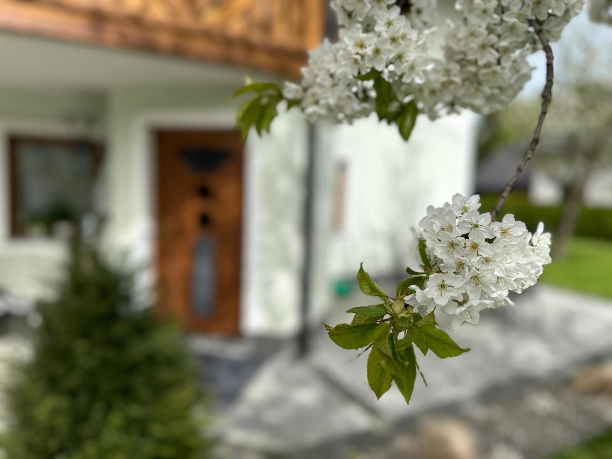 Romantic Chalet - Alpine Getaway Salzkammergut Viechtwang 외부 사진